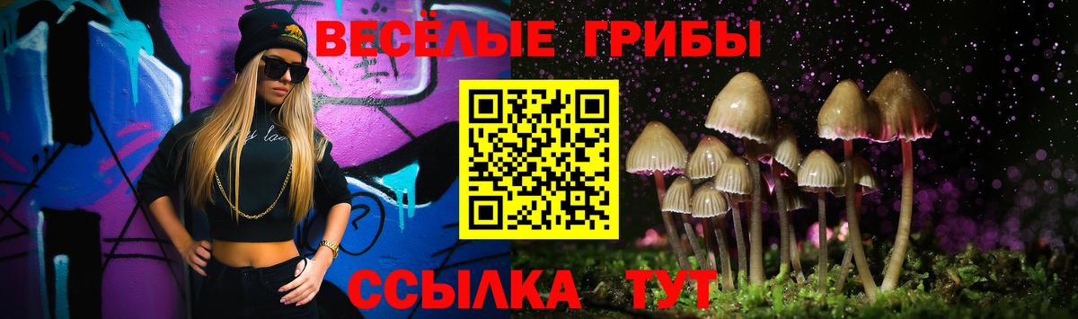 купить  цена  Псилоцибиновые грибы Psilocybe  Вход с VPN  Луга 